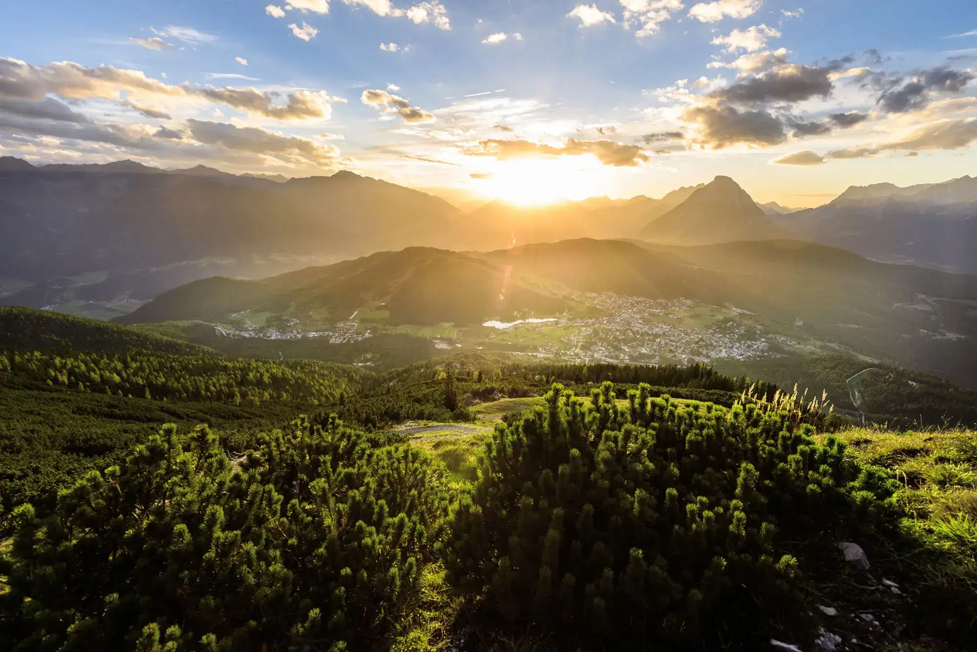 Willkommen bei der Wilderer Group